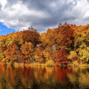 Autumn Beautiful Jigsaw Puzzles Free免费下载