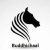 Buddhichal手机版下载