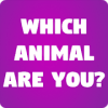 Which Animal Are You?