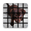 Dog Tile Puzzle - Labrador Retriever Puppy