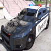 Real Crazzy Police Car Simulator 2019 3D