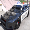 Real Crazzy Police Car Simulator 2019 3D安全下载