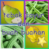 Tebak Sayur Dan Buah Buahan