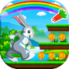 Pet Bunny Rabbit Run For Kids玩不了怎么办