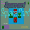 Square Cord