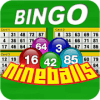 Nine Balls Video Bingo官方版免费下载