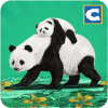 Panda Family Fun: Jungle Survival最新版下载