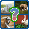 You Guess - Animals