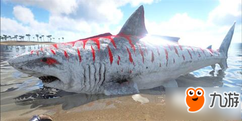 方舟生存进化巨齿鲨怎么驯服 巨齿鲨吃什么东西