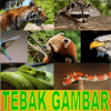 Tebak Gambar Fauna