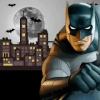 Bat Superhero World: a Man Begins快速下载