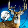 Deer Hunting American Sniper Shooting Game 2018最新安卓下载