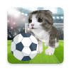 Kitty Soccer