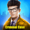 Criminal Case Hidden Investigation