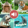 Animal sounds - App for kids