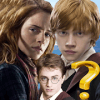 Harry Potter Hogwarts Fanquiz免费下载