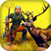 Deer Hunt 2018: Safari Hunting Attack Game