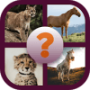 Find the Animals - Best Quiz Game玩不了怎么办