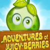 Adventures Of Juicy Berries官方下载