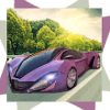 Fast and Luxury Car Race破解版下载