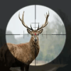 Jungle Safari Hunt - Deer Hunter Games免费下载