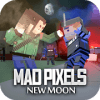 Mad Pixels New Moon