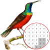 Bird Color By Number - Pixel Art中文版下载