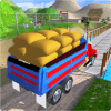 Cargo Indian Truck 3D安全下载