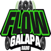 Flow Galapa Radio如何升级版本