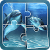 Dolphin Jigsaw Puzzle手机版下载