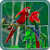 Birds Jigsaw Puzzle