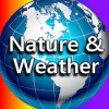 Nature & Weather Logic: Find Related Words Quiz