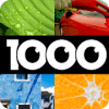 1000 Images : Photo Zoom