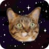 Cats In Space! Galactic Mice