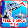 Feed and Grow : Fish Adventure无法打开