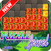 New Puzzle Jewel Crush pro无法打开