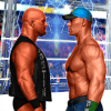 Pro Wrestling Superstar Fight - Wrestling Games