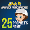 Find Words 25 Prophet's name Games费流量吗