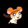 GO hamtaro rum - aventura版本更新