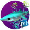 PI VR Oceans免费下载