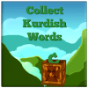 Collect Kurdish Words玩不了怎么办