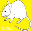 Joshua费流量吗
