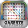 Gaseste Cuvinte最新版下载