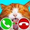 fake call cat 2 game