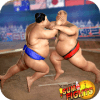 Sumo Wrestling 2019: Live Sumotori Fighting Game无法安装怎么办