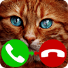 fake call cat game怎么下载