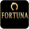 Play Wheel Fortuna!无法打开