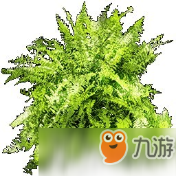 Atlas蕨葉可制造物品一覽