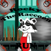 Rocky The Raccoon Run破解版下载