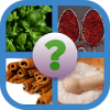 Spices Quiz手机版下载